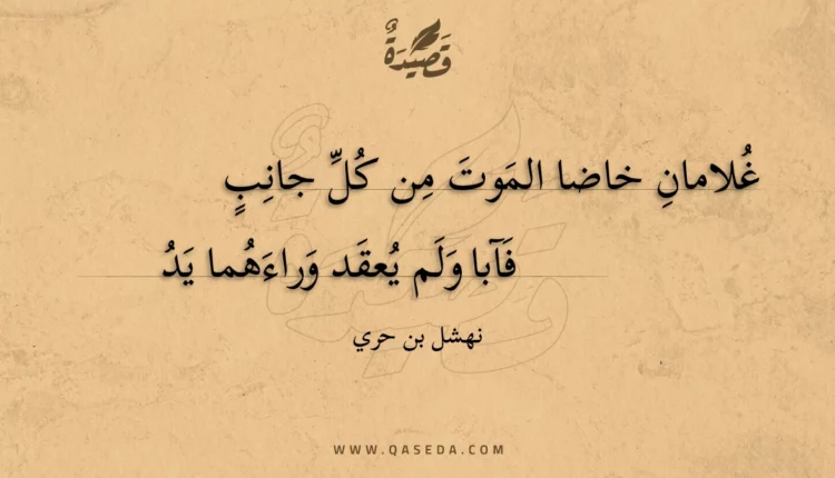 قصيدة غلامان خاضا الموت من كل جانب