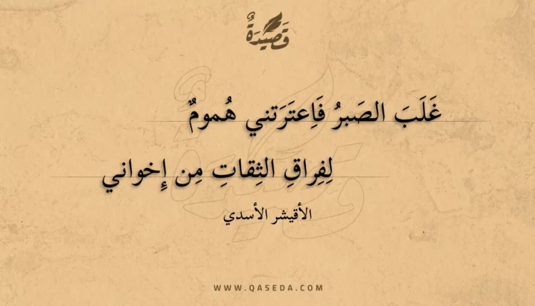 قصيدة غلب الصبر فاعترتني هموم