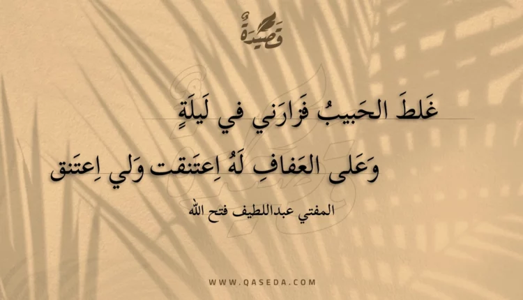 قصيدة غلط الحبيب فزارني في ليلة