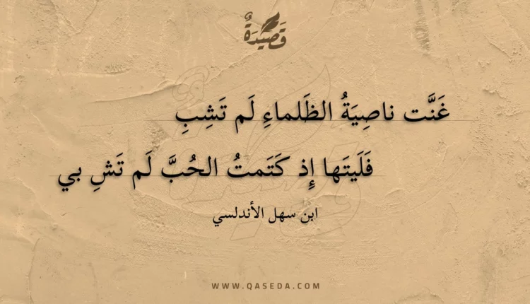 قصيدة غنت ناصية الظلماء لم تشب