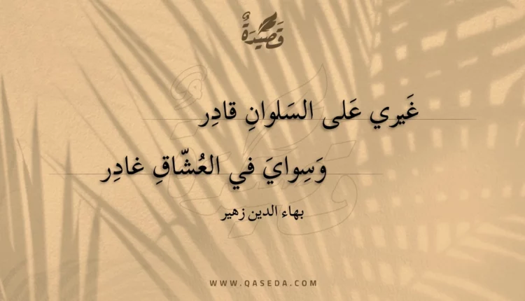 قصيدة غيري على السلوان قادر