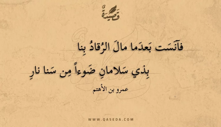 قصيدة فآنست بعدما مال الرقاد بنا