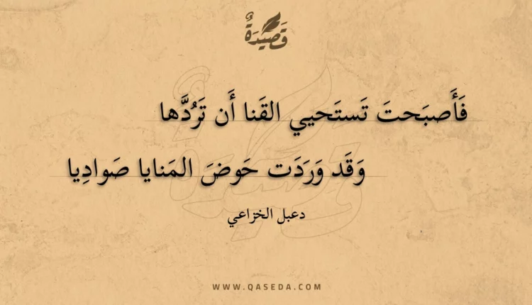 قصيدة فأصبحت تستحيي القنا أن تردها