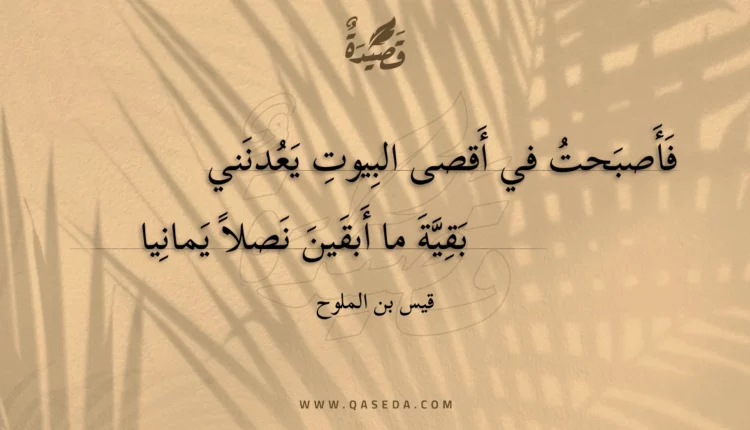 قصيدة فأصبحت في أقصى البيوت يعدنني