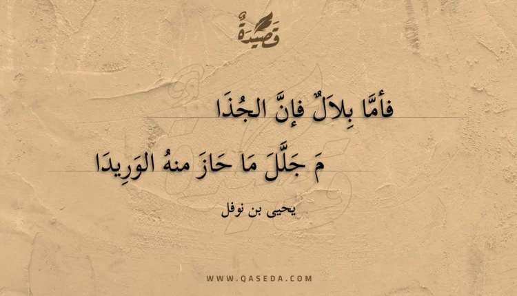 قصيدة فأما بلال فإن الجذا