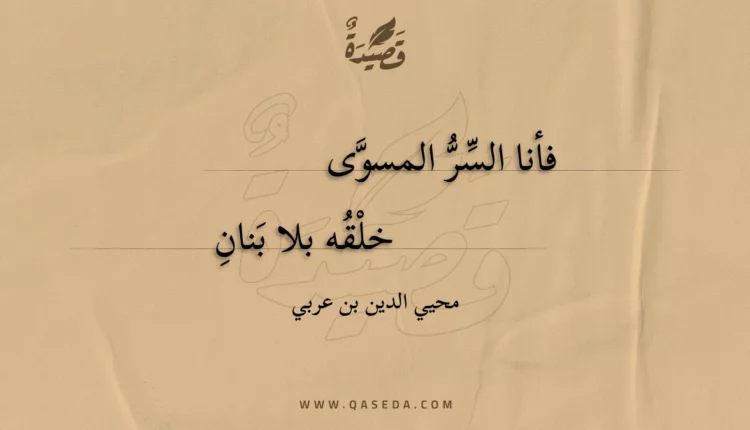 قصيدة فأنا السر المسوى