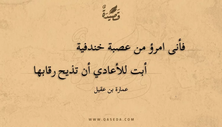 قصيدة فأنى امرؤ من عصبة خندفية