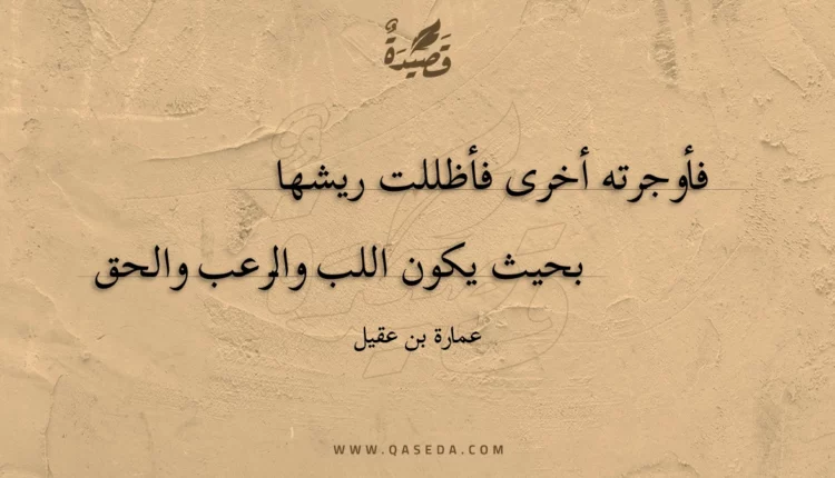 قصيدة فأوجرته أخرى فأظللت ريشها