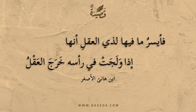 قصيدة فأيسر ما فيها لذي العقل أنها