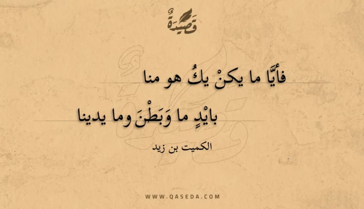 قصيدة فأيَّا ما يكنْ يكُ هو منا