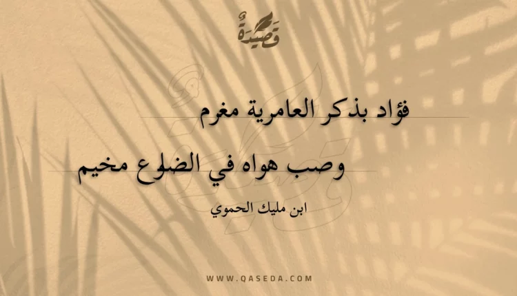 قصيدة فؤاد بذكر العامرية مغرم