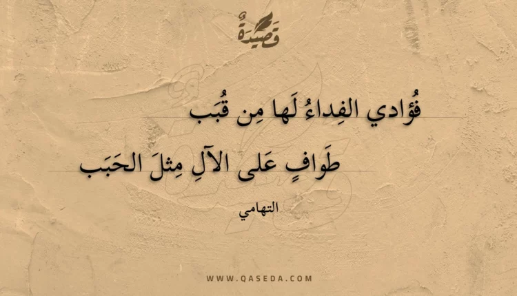 قصيدة فؤادي الفداء لها من قبب
