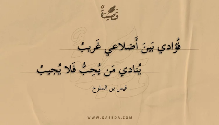 قصيدة فؤادي بين أضلاعي غريب