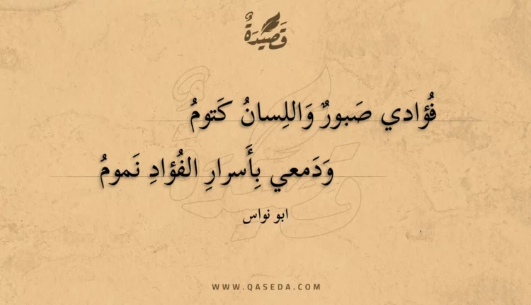 قصيدة فؤادي صبور واللسان كتوم