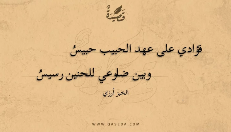 قصيدة فؤادي على عهد الحبيب حبيس