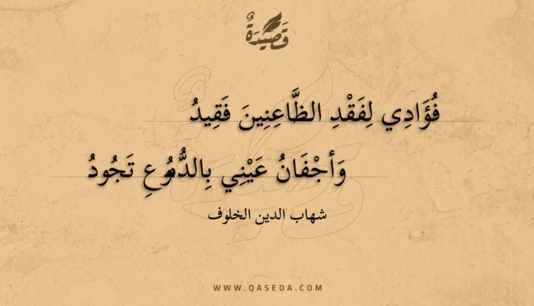 قصيدة فؤادي لفقد الظاعنين فقيد