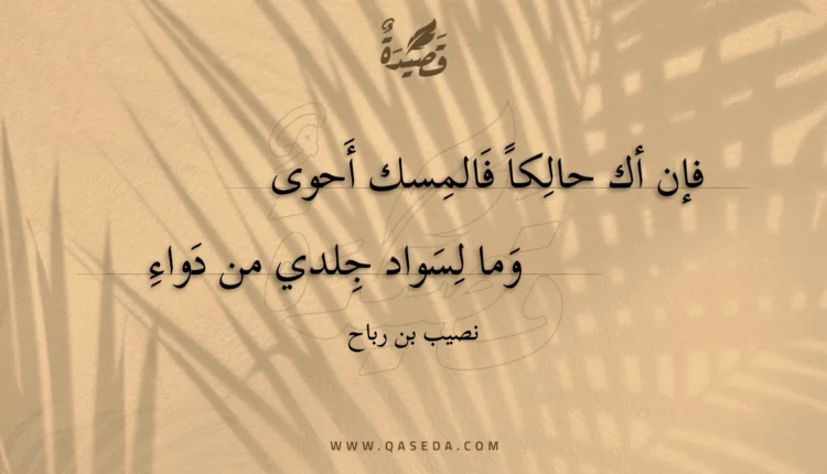 قصيدة فإن أك حالكا فالمسك أحوى