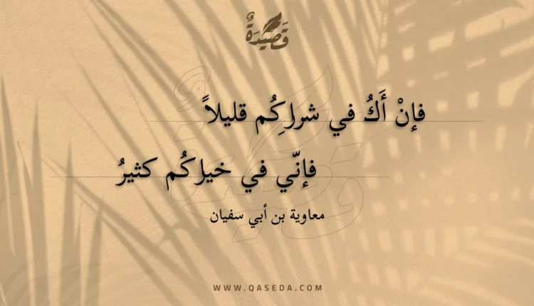 قصيدة فإن أك في شراركم قليلا