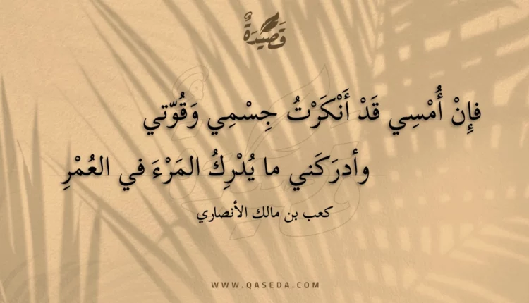 قصيدة فإن أمسي قد أنكرت جسمي وقوتي
