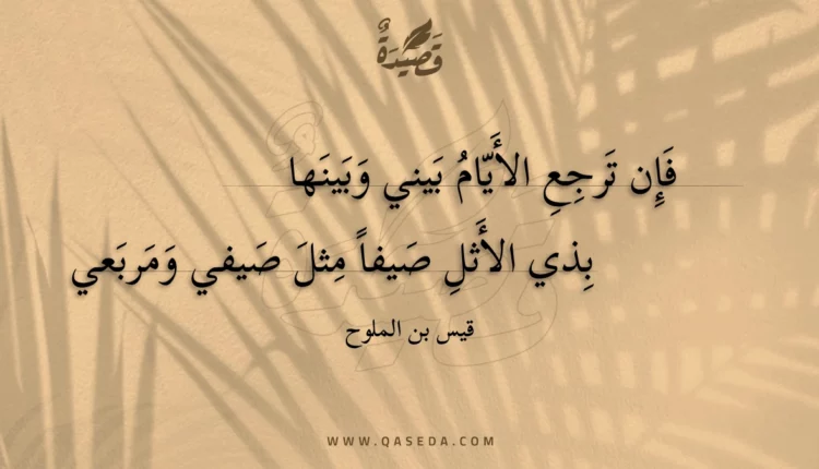 قصيدة فإن ترجع الأيام بيني وبينها