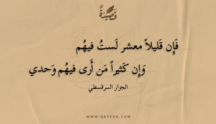قصيدة فإن قليلا معشر لست فيهم