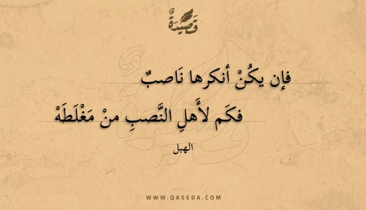 قصيدة فإن يكن أنكرها ناصب