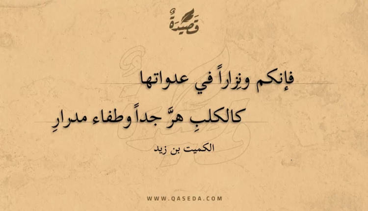 قصيدة فإنكم ونزارا في عدواتها