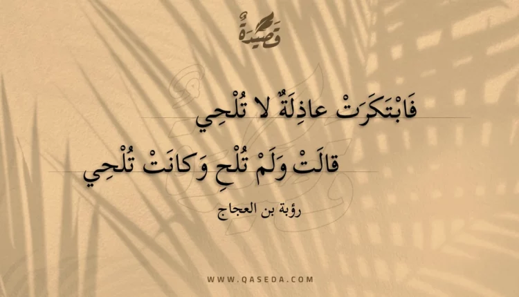 قصيدة فابتكرت عاذلة لا تلحي