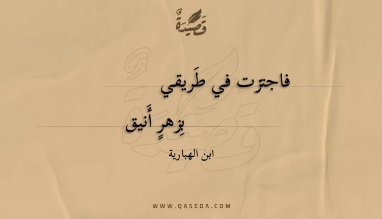 قصيدة فاجتزت في طريقي