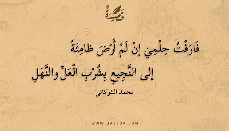 قصيدة فارقت حلمي إن لم أرض ظامئة
