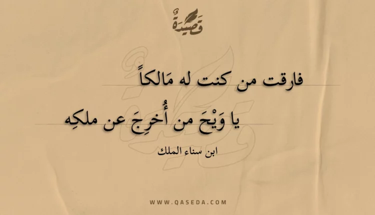 قصيدة فارقت من كنت له مالكاً
