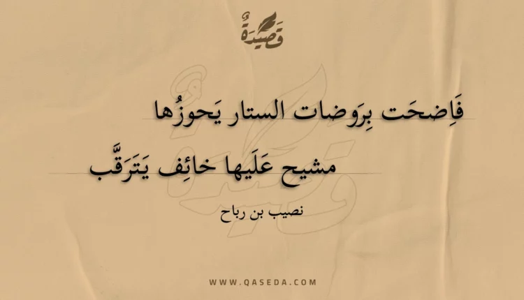 قصيدة فاضحت بروضات الستار يحوزها