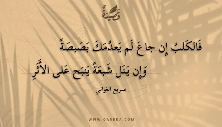 قصيدة فالكلب إن جاع لم يعدمك بصبصة