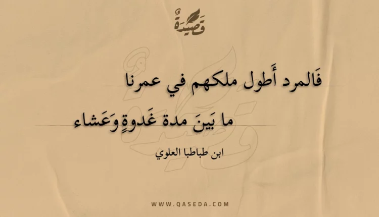 قصيدة فالمرد أطول ملكهم في عمرنا