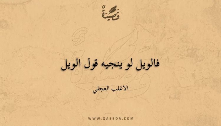 قصيدة فالويل لو ينجيه قول الويل