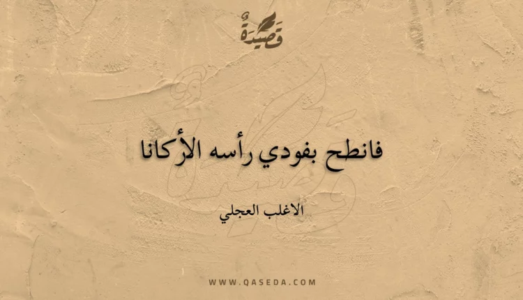 قصيدة فانطح بفودي رأسه الأركانا