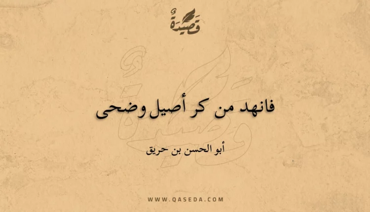 قصيدة فانهد من كر أصيل وضحى