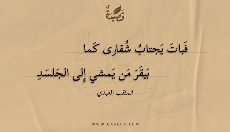 قصيدة فبات يجتاب شقارى كما