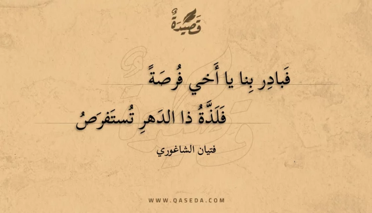 قصيدة فبادر بنا يا أخي فرصة