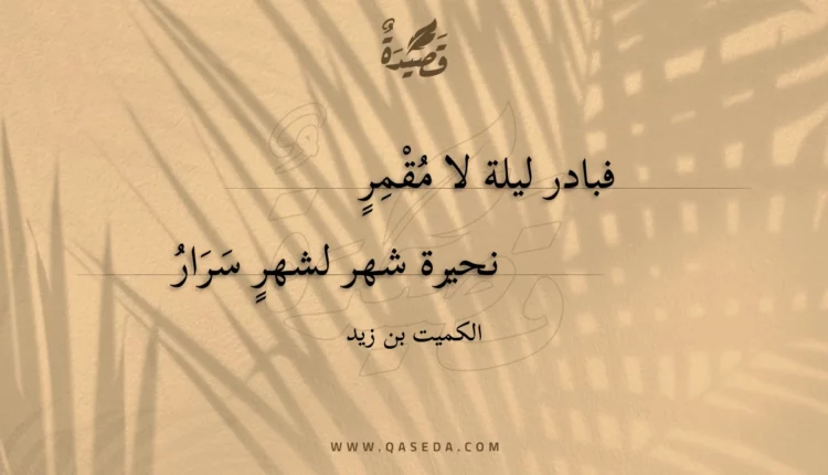 قصيدة فبادر ليلة لا مقمر