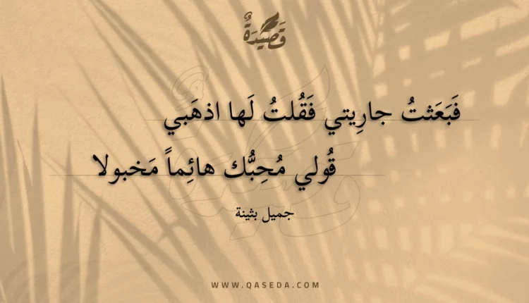 قصيدة فبعثت جاريتي فقلت لها اذهبي