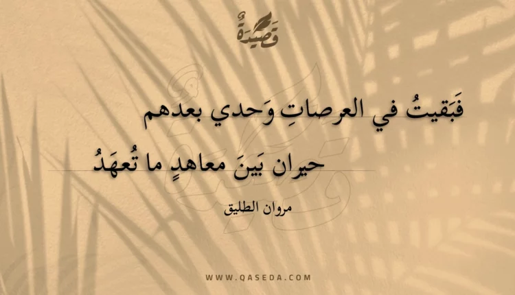 قصيدة فبقيت في العرصات وحدي بعدهم