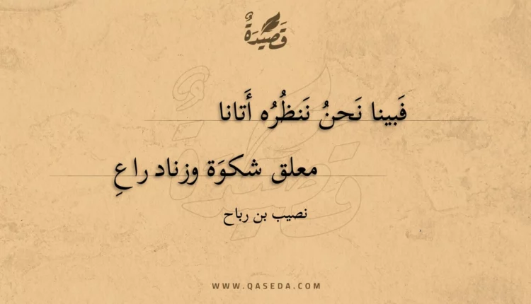 قصيدة فبينا نحن ننظره أتانا