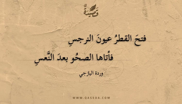 قصيدة فتح القطر عيون النرجس