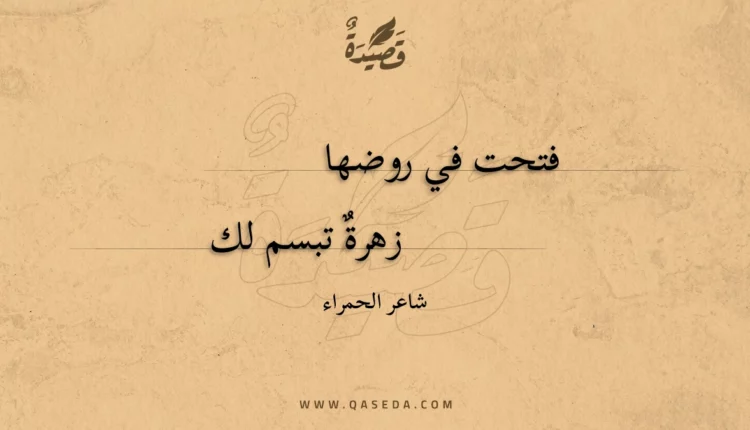 قصيدة فتحت في روضها زهرة