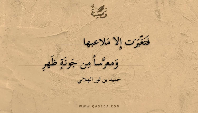 قصيدة فتغيرت إلا ملاعبها