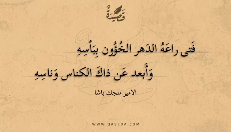 قصيدة فتى راعه الدهر الخؤون ببأسه