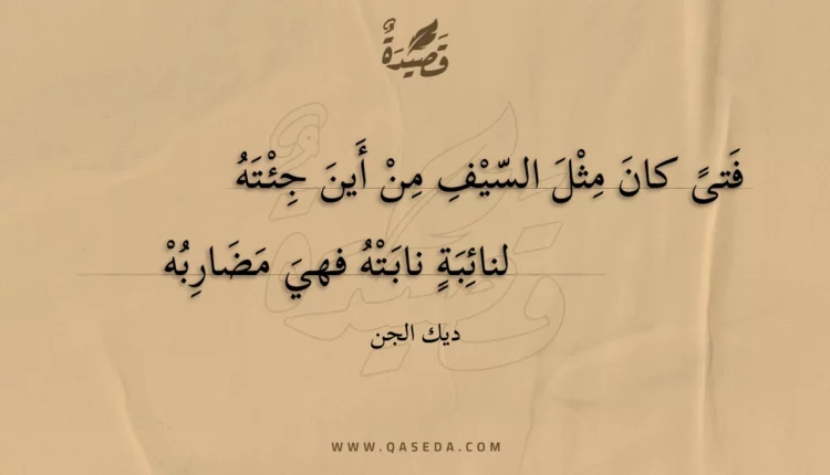 قصيدة فتى كان مثل السيف من أين جئته