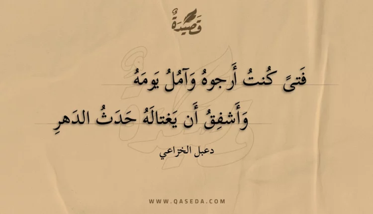 قصيدة فتى كنت أرجوه وآمل يومه