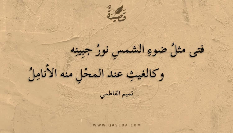 قصيدة فتى مثل ضوء الشمس نور جبينه